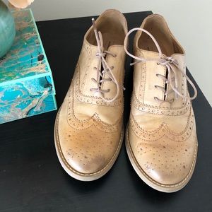 Camel Oxfords